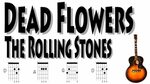 Dead Flowers The Rolling Stones Eazy Guitar Chords - YouTube