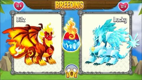 NEW BREEDING: Pure Flame Dragon & Pure Ice Dragon DRAGON CIT