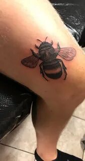Bees knees tattoo - Imageix