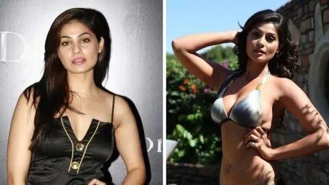 32 Puja Gupta's Hot Pics, Sexy Bikini Images, Instagram Self