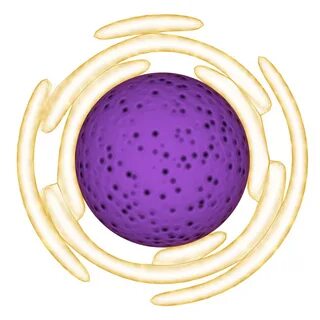 Organelle Models - #110 - Graphics - Thrive Development Foru