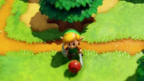 Гайд по The Legend of Zelda: Link's Awakening Игромастер Янд