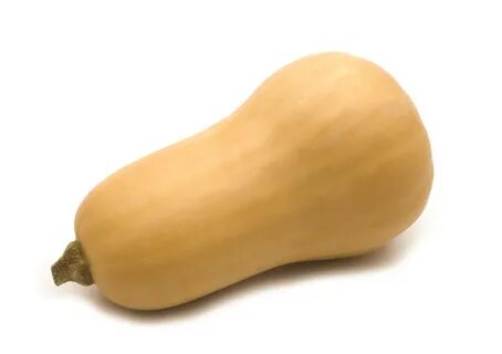 Butternut Squash - Greenlawn Farms