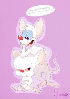 Pinky and the Brain by Sunnynoga Cartoon crazy, Cartoon bee,