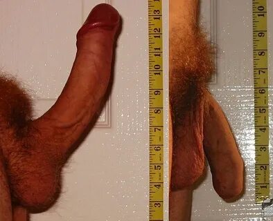 12 cm penis Average Penis Size: length & girth, erect & flac