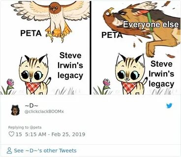 50 Reactions To PETA Saying Its Not Okay For Google To Celeb