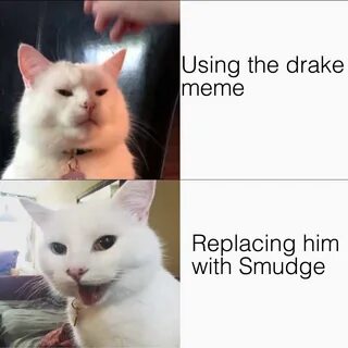 Using the Drake meme / Replacing him with Smudge Smudge the 
