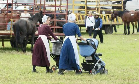 Amish Communities In Canada - Tenn. Amish community's growth