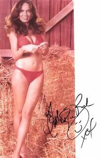 Catherine Bach Pictures. Hotness Rating = Unrated