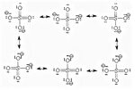 Are There Multiple Equivalent Resonance Structures For The S