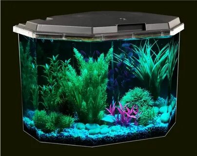 Fish Tank with Power Filter and LED Lighting 6.5 Gallon Crys