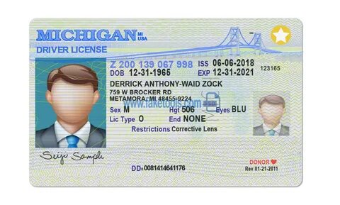 Michigan driver license Psd Template : High quality psd temp