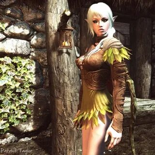 Eryniel - Elf Follower at Skyrim Nexus - Mods and Community