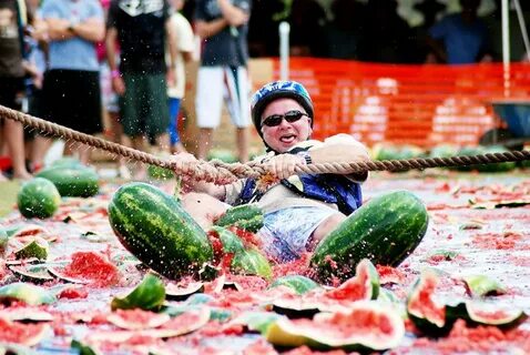 Фестиваль для любителей арбузов Chinchilla Melon : vova_91 -