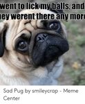 Went Tolick My Balls and Ey Werent There Any Morc Sad Pug by