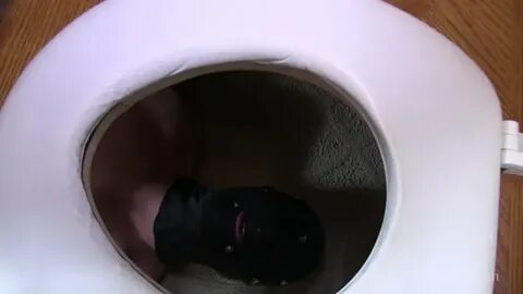 Shithumiliation0419_Human_toilet.mp4.00001