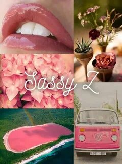 Sassy Z LipSense's new Limited Edition Color. It's soft rose
