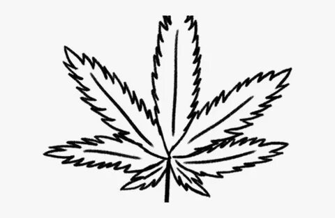 Weed Clipart Frame - Weed Drawing Png, Transparent Png , Tra