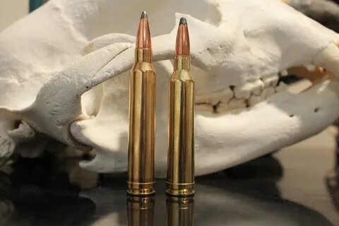 Vs 7mm Remington Magnum Related Keywords & Suggestions - Vs 