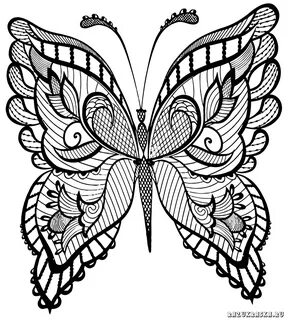 Pin on Coloriages anti-stress