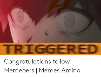 🐣 25+ Best Memes About Triggered Meme Gif Triggered Meme Gif