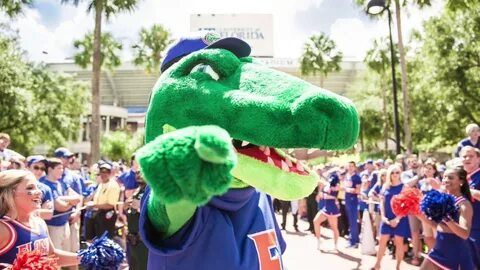 HHP Gators - Stop by the Florida Gym on Game Day! - YouTube