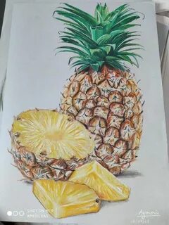 A pineapple drawing with colored pencils : drawing Fruit art