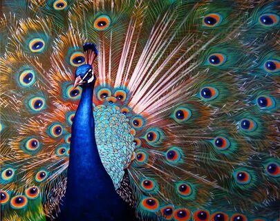 Peacock, Painting by Sergey And Vera Artmajeur
