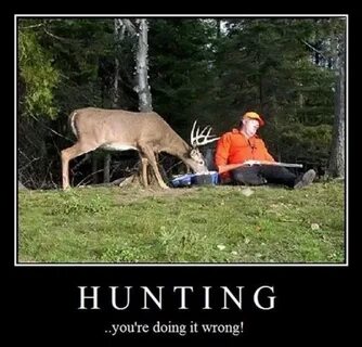 Hunting Hunting humor, Funny memes, Funny