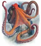 Giant Octopus by Dean Spencer. Octopus, Creature picture, Oc