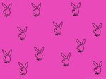 Wallpapers Play Boy Bunny Logo Playboy Conejito Fondos De Pa