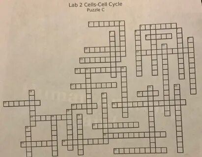 Solved Cells Crossword puzzle Please answer ALL Questions Ch