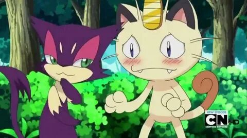 Theory: Purrloin and Liepard linked to Babalon? Pokémon Amin