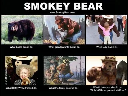 Smokey Bear Meme - Captions Lovers