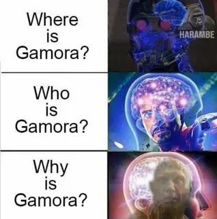 no one ever asks "how is Gamora?" - Meme by josh phish21 :) 