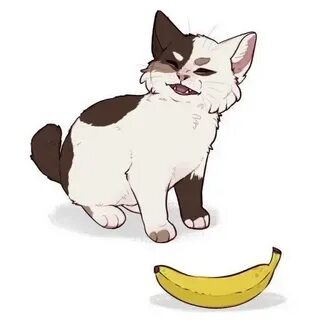 Banana Cat - Stickers for WhatsApp