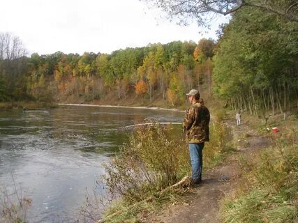 Huron-Manistee National Forests - Fishing:River and Stream F