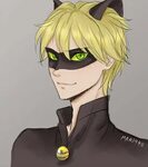 Pin on Ladybug and Cat Noir