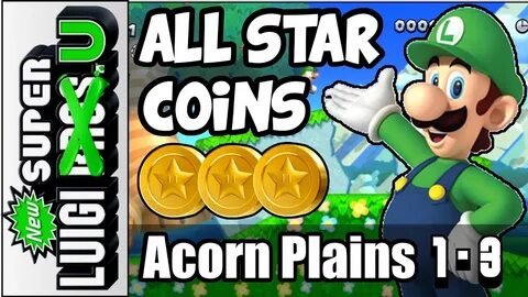 New Super Luigi U 3 Star Coin Walkthrough - Acorn Plains-3: 