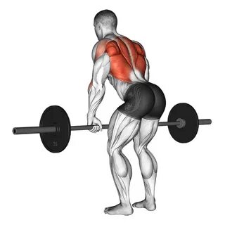 Bent Over Barbell Row - Fitness Blog