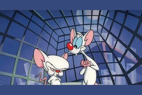 Can You Remember The Lyrics To The Pinky And The Brain Theme