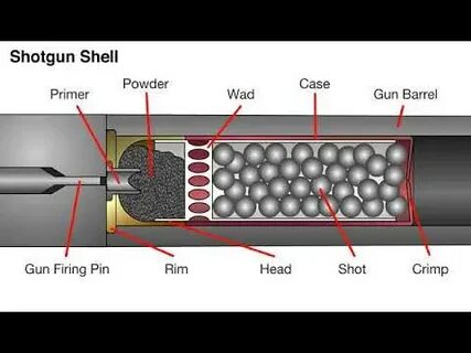 Shotgun Shell - YouTube