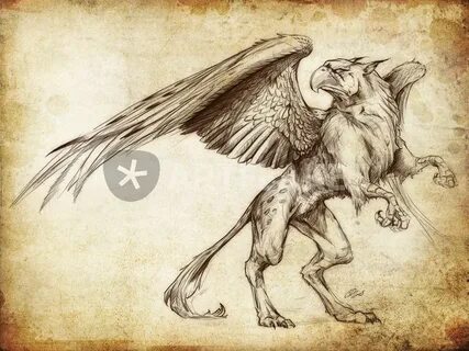 "Fantasy Sketch - Gryphon" Drawing art prints and posters by