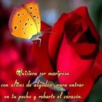 Imagenes de Amor y Amistad con Frases Bonitas ❤ for Android 