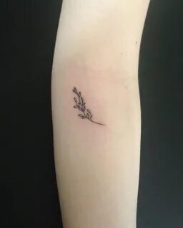 Pin by Mar on tats Olive branch tattoo, Tiny tree tattoo, Sm