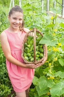 Lovely girl with cucumbers stock image. Image of hobby - 342