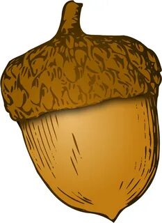 Acorn Nuts Clipart - Png Download - Full Size Clipart (#5727