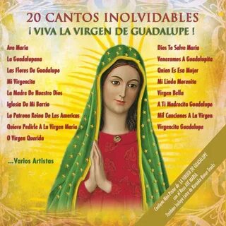 Various Artistas - Mil Canciones a La Virgen Lyrics Musixmat