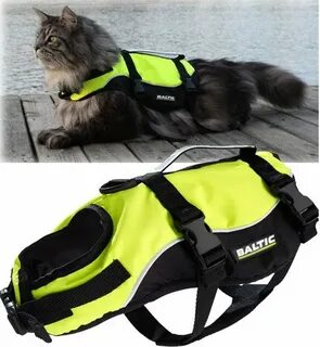 Cat Buoyancy Aid - Life jacket Cat emergency, Buoyancy aid, 