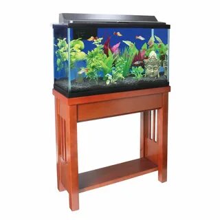 corner fish tank petco Online Shopping